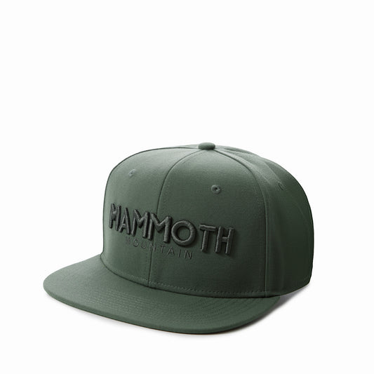 MAMMOTH WORDMARK CAP